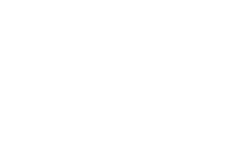 Tribu Trainer logo principal